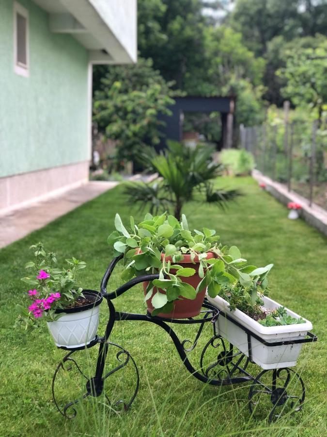 Asteris Apartments Demir Kapija Zewnętrze zdjęcie
